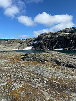 Nina2412hauge_20240822_66c6f1d715381.jpg