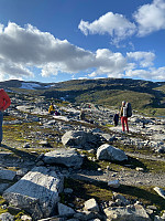 Nina2412hauge_20240822_66c6f1db030c3.jpg