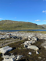Nina2412hauge_20240822_66c6f1db7f8a2.jpg
