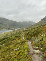 Nina2412hauge_20240822_66c728f2cbe74.jpg