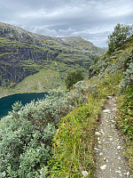 Nina2412hauge_20240824_66c985042c0fa.jpg