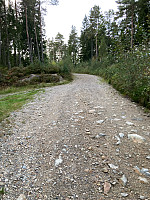 Nina2412hauge_20240909_66df39b3ba539.jpg