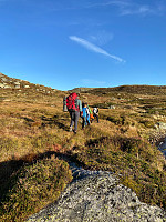 Nina2412hauge_20241004_66ffb807a15a4.jpg
