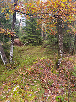Nina2412hauge_20241013_670bcf77cfaaa.jpg