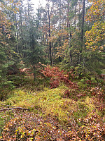 Nina2412hauge_20241013_670bcf7886b31.jpg