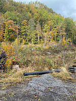 Nina2412hauge_20241013_670bcf7a551f0.jpg