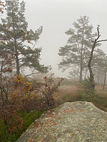 Nina2412hauge_20241019_6713b51896275.jpg