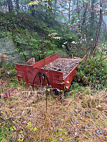 Nina2412hauge_20241019_6713b519b10e1.jpg