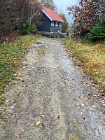 Nina2412hauge_20241019_6713b51b02402.jpg