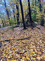 Nina2412hauge_20241020_67152ba108fe6.jpg