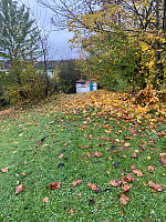 Nina2412hauge_20241020_67152ba21fabc.jpg