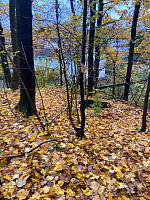 Nina2412hauge_20241020_67152ba2b534b.jpg