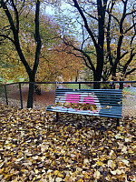 Nina2412hauge_20241020_67152ba59c64b.jpg