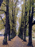 Nina2412hauge_20241020_67152ba6afa8d.jpg