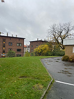 Nina2412hauge_20241020_67152ba7515a7.jpg