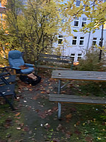 Nina2412hauge_20241020_67152ba905f66.jpg