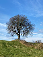 Nina2412hauge_20241026_671cff9c02d31.jpg