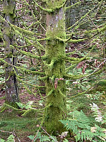 Nina2412hauge_20241026_671cff9c86e7f.jpg