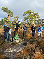 Nina2412hauge_20241026_671cff9dbd29a.jpg