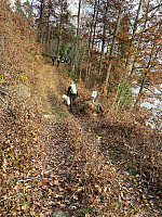 Nina2412hauge_20241026_671cff9e540b5.jpg