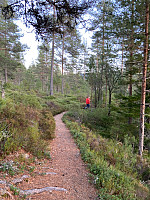Nina2412hauge_20241101_6724f2feba9a5.jpg