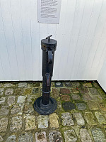 Nina2412hauge_20241117_6739d423af035.jpg