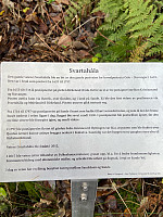 Nina2412hauge_20241117_6739efbb70c48.jpg