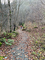 Nina2412hauge_20241117_6739efbbec059.jpg