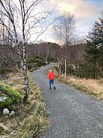 Nina2412hauge_20241117_673a018dc120f.jpg