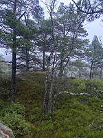 Nina2412hauge_20241228_677040216b946.jpg
