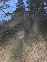 Nina2412hauge_20241228_6770402271a61.jpg
