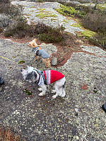 Nina2412hauge_20241230_67729212bec75.jpg