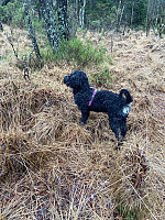 Nina2412hauge_20241230_6772921357fd9.jpg