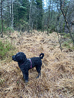 Nina2412hauge_20241230_67729213f1514.jpg