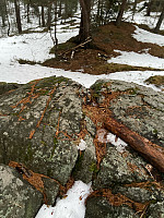 Nina2412hauge_20250118_678bc7823be2e.jpg