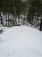 Nina2412hauge_20250118_678bc782c0f38.jpg