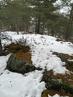 Nina2412hauge_20250118_678bc784d1f8c.jpg