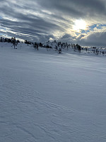 Nina2412hauge_20250208_67a78032efaed.jpg