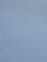 Nina2412hauge_20250208_67a780344aea7.jpg