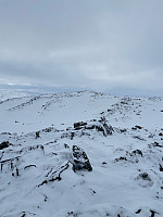 Nina2412hauge_20250208_67a78037f41eb.jpg