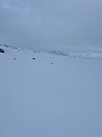 Nina2412hauge_20250208_67a780395112e.jpg