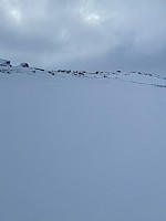 Nina2412hauge_20250208_67a78039b5a77.jpg
