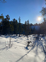 Nina2412hauge_20250218_67b4b659a2624.jpg