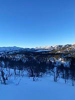 Nina2412hauge_20250218_67b4b65a2f05e.jpg