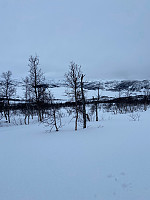 Nina2412hauge_20250221_67b8966dede0d.jpg
