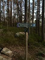 Nina2412hauge_20250317_67d870208588b.jpg