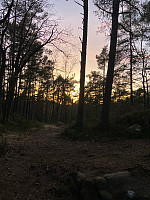 Nina2412hauge_20250317_67d870211b8a1.jpg
