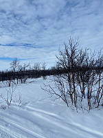 Nina2412hauge_20250329_67e7b2f5d8454.jpg