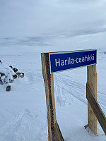 Nina2412hauge_20250330_67e8f35dd0103.jpg