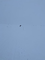 Nina2412hauge_20250330_67e8f35eb3146.jpg